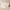 Promotion banner