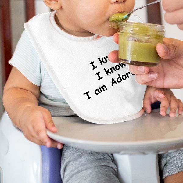 I Know I Am Adorable Baby Bib - Gray with Text Design