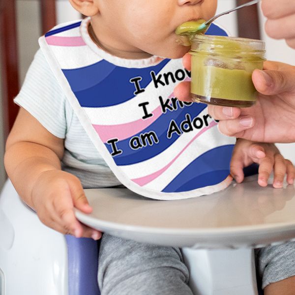 I Am Adorable Baby Bib - Blue Pink Wave Design