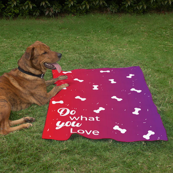 Do What You Love Pet Blanket