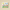 Canvas – Family Design