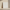 Canvas – Plain Warm Beige