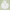 Customizable white hoodie with pale green leafy-shadow background