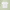 Customizable white T-shirt with pale green leafy-shadow background