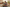 Desi Boy Mini-Me – Couple Lifestyle Mockup