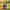Emerald Green Heart Cushion Indian Couple Park