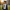 Graduation Ceremony Lifestyle – Square