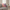 Happy Birthday Cushion – Sofa Lifestyle