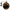 Leopard Fish | Personalised Earphone Pouch – Sports & Travel