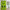 Green Headphones Shower Curtain