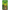 Jungle Safari Fleece Blanket – Fun Kids Animal Print