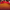 Sunrisers Fleece Blanket - View 4