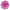 Pink Peony Macro Bloom Personalised Umbrella