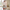 Indian mother and daughter blanket mockup in 1:1 format