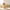 Indian Toddler with Golden Yellow Star Cushion