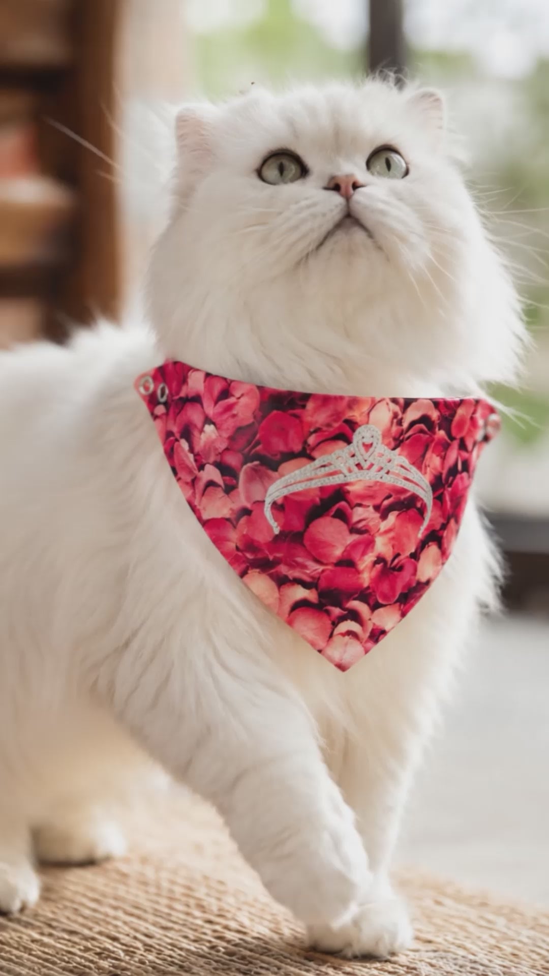Rose Petals & Tiara Princess Cat Bandana