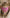 Mrs. Wedding Bells Pink Cat Bandana