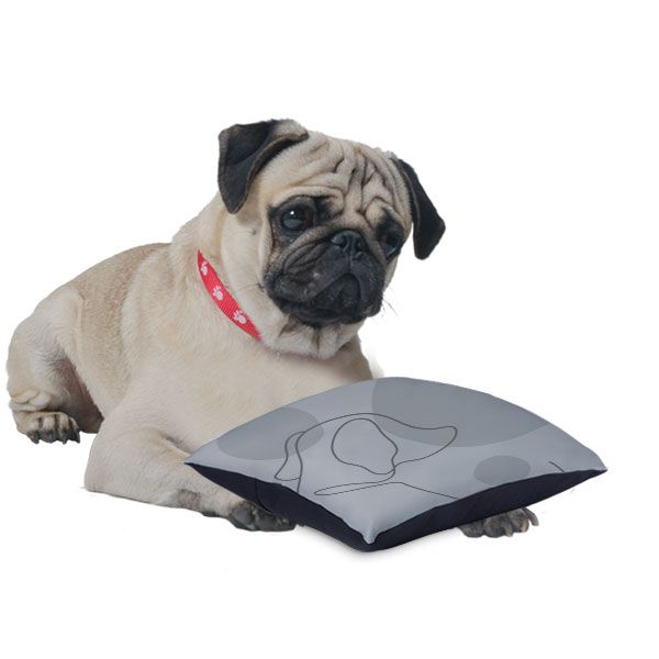 Pet Cushion Cover