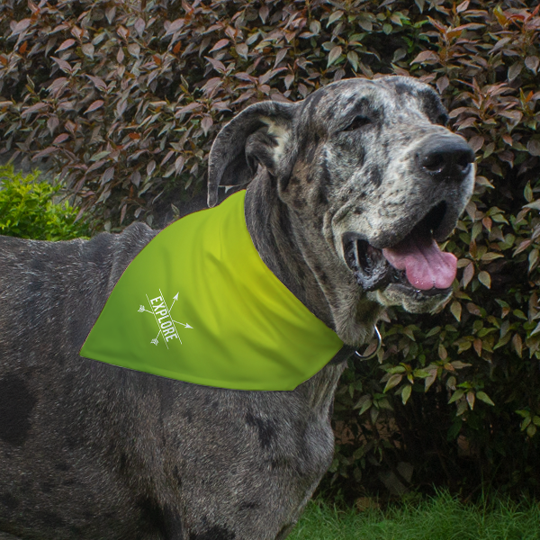 Dog Bandana