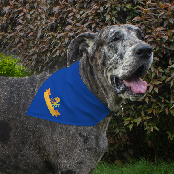 Dog Bandana