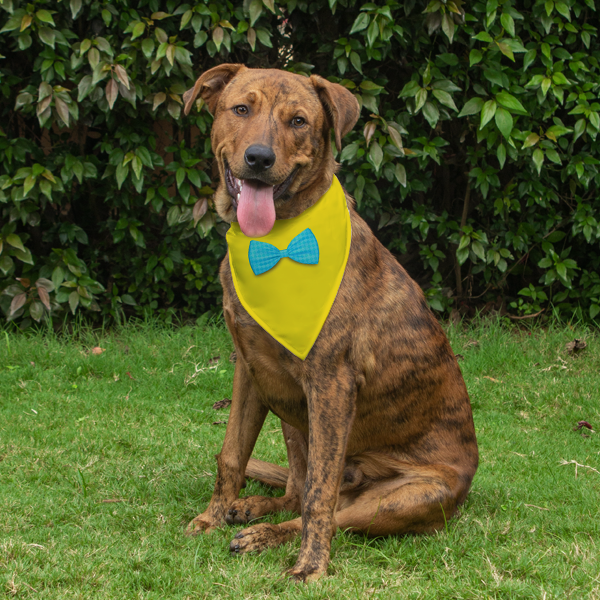 Dog Bandana