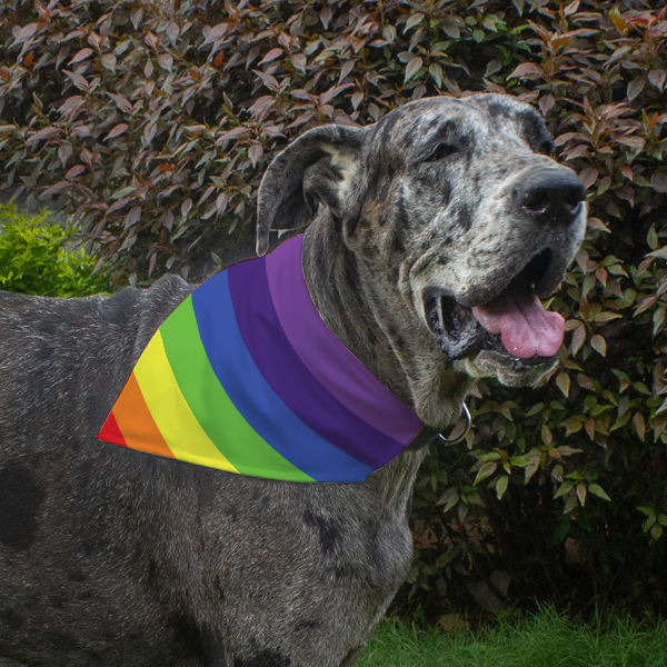 Dog Bandana