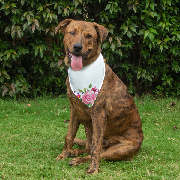 Dog Bandana