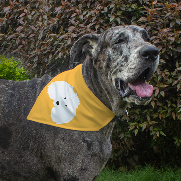 Dog Bandana