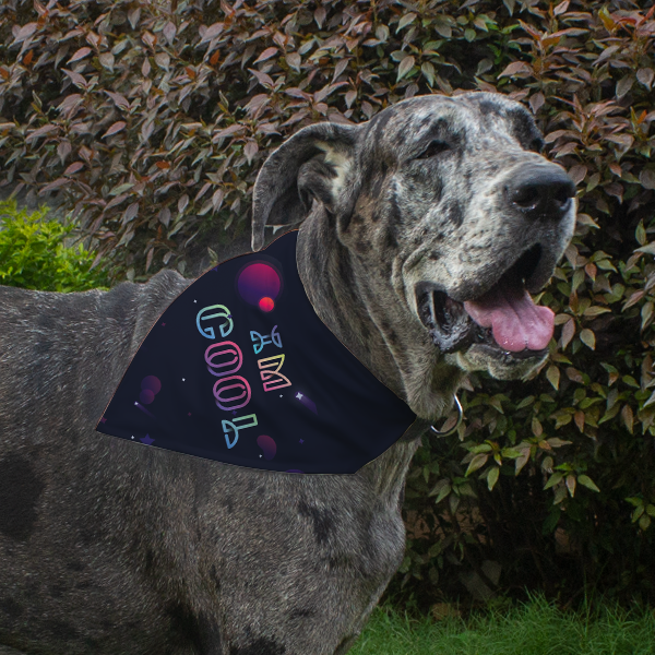 Dog Bandana