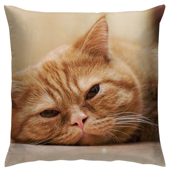 Pet Cushion Cover