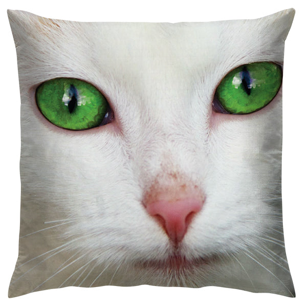 Pet Cushion Cover