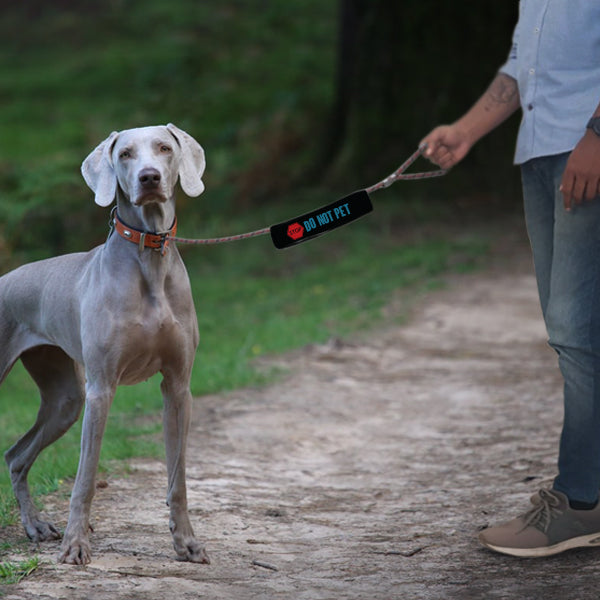 Fabric Sleeve For Leash