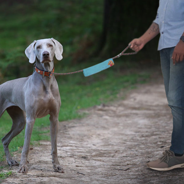 Fabric Sleeve For Leash