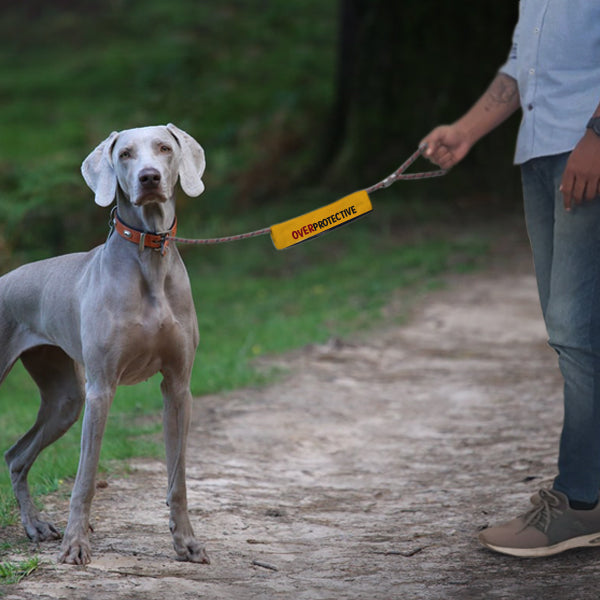 Fabric Sleeve For Leash