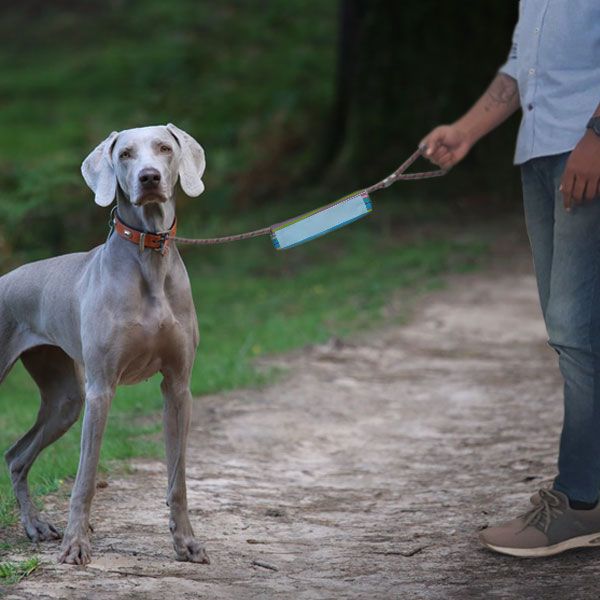 Fabric Sleeve For Leash