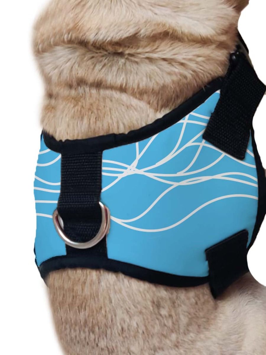 Dog harness