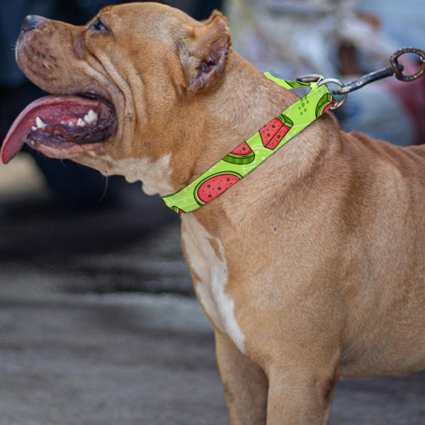 Watermelon Design Pet Belt