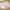 Table Mat – Realistic Plain