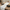 Table Runner – Warm Beige Background