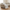 Throw Blanket – Photorealistic Plain