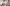 Promotion banner